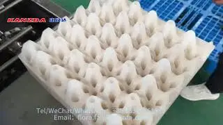 Egg tray washing machine frees your hands