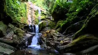 The Green Heart of Sabah - Imbak Canyon