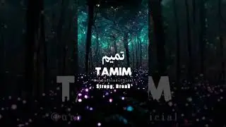 🌹Tamim🌹 | Name Meaning Status ||#urduehindofficial  #ytshorts #shorts #tamim