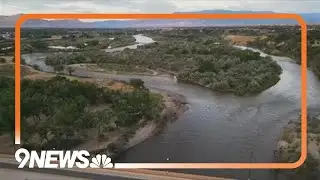 Invasive zebra mussels found on the Western slope could cause problems