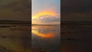 Golden Silence by the Lake | Sunset Whispering Over Water | Viral Short