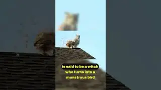 La Lechuza The Avenging Spirit 🦉⚖️