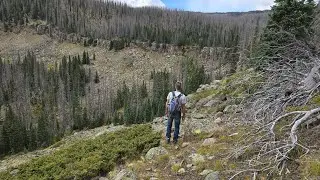 Help! Search & Rescue, On Scene! 