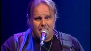 Dust My Broom   Walter Trout and The Radicals