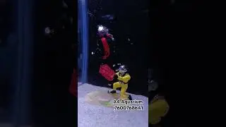 Aquarium Action Toys | Aquarium Ornaments | A4 Aquarium | #toys #sorts #aquarim #fish #ytshorts