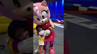 Amy Rose Gamers World