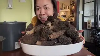 โชคดีมากไปเก็บผักแต่เจอเห็ดมอเรลออกเต็มพื้นเลยตื่นเต้นสุดๆ10.05.25