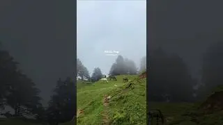 Moila Top Chakrata.                           #chakrata