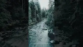 DJI Mini 3 Pro 4K FPV Cinematic Forest Flyover #nature #travel #cinimatic #shorts #drone