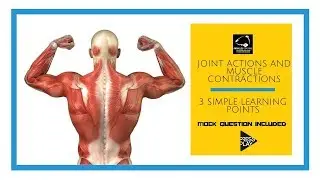 Joint Actions and Muscle Contractions in 3 simple learning points