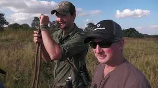 Darting a Rhino