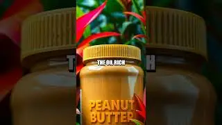 The Lifesaving Insight of Peanut Butter: A Natural Antidote