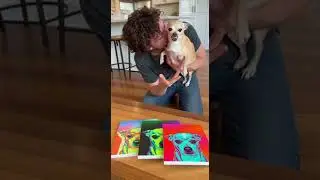 IMPOSSIBLE NOT TO LAUGH 😂 KPOP DEMON DOGS Epic dance moves fail #kpopfun #demondogs #laughoutloud
