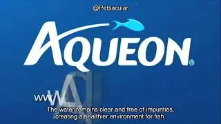 Aqueon Replacement Filter Cartridges Medium - 6 Pack Review: Worth the Investment?