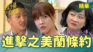 【三隻小豬的逆襲】EP62 美蘭說話算話條約！一天兩爭吵！果然是薑愈老愈辣～～【 Piggy's Counterattack】