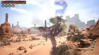 Conan Exiles graphics bug