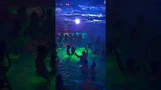 SPRING PARTY 2025