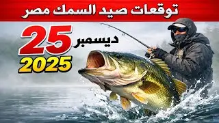 توقعات الصيد في مصر لخمسة وعشرين ديسمبر ألفين وخمسة وعشرين: اترك كل شيء وانطلق للصيد!