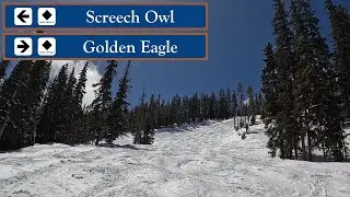 Beaver Creek, CO - &loz; Screech Owl to Lower Golden Eagle (4-7-24) [4K]