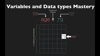 Understanding Variables and Data Types in Python