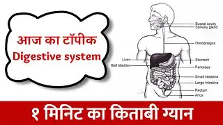 DIGESTIVE SYSTEM PARTS | एक मिनट का किताबी ग्यान । #shorts | Human digestive system parts for kids