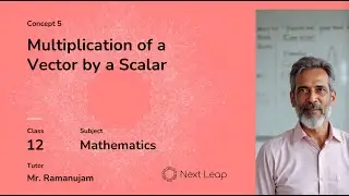 Multiplication of a Vector by a Scalar | Class 12 Maths | Vector Algebra