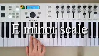 How to play E minor scale / Beginner piano tutorial