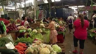 Precios de la canasta básica