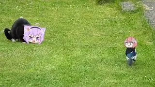 Okayu cat hunt Takane lui bird | Animal hololive
