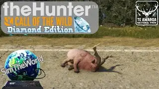 The Elusive Feral Goat - Diamond Expedition | theHunter Call of the Wild