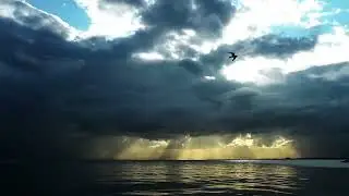 Chasing Forever