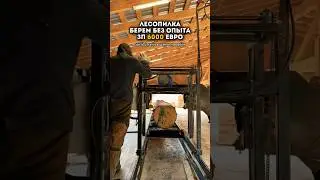 Ищем людей на лесопилку в европе