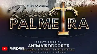 3° LEILÃO VIRTUAL PALMEIRA LEILÕES - RIO VERDE/MS - RURAL PLAY