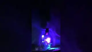Light Up Crystal Skull | Dark Nook