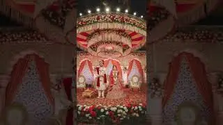 #DreamScreenAI #marriage #marria #song #music #love #funny #robot #comedy #motivation #cute #monkey