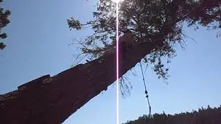 Rope swing time