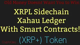XRP Can The New XRPL Sidechain with Hooks Xahau Network Survive & Thrive?