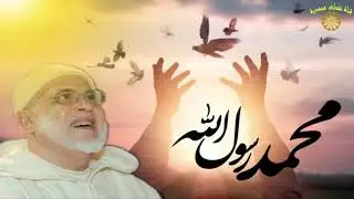 يا ابا الزهــــــــراء لله نظرة