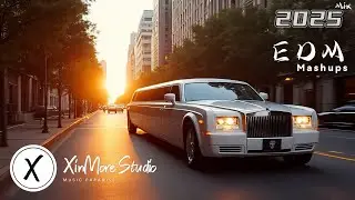 Bass Boosted EDM Music Mix 2025 🎧 Top Remixes 🎧 Best EDM Hits of 2025