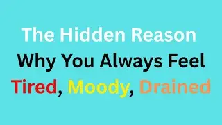 Why You Always Feel Tired, Moody, and Drained &ndash; The Hidden Reason
