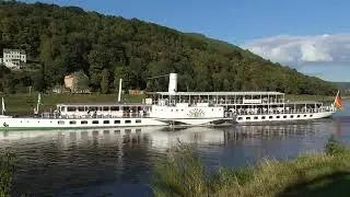 Der 1929 gebaute Raddampfer LEIPZIG macht sich am 3. Oktober 2025 in K&ouml;nigstein auf die Fahrt ⚓️