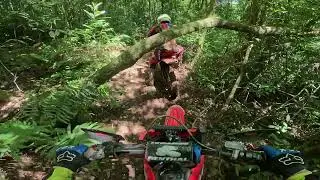 Trilha Cascata  Dirt Bike          #motoroffroad #enduro #trilha #dirtbike #crf