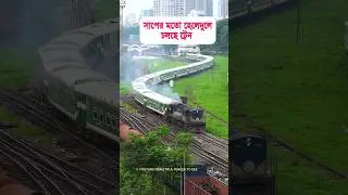Train on snake shape rail curve