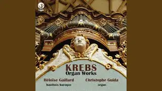 Prelude and Fugue in D Minor, Krebs-WV 405: Fugue