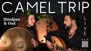 Camel Trip | Live Session | Handpan and Oud
