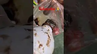 Neutral jelly se butterscotch caramel jelly kaise banate hai #viralvideo #cake #trandingshorts #food