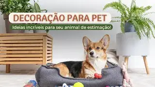 DECORA&Ccedil;&Atilde;O para PET: IDEIAS INCR&Iacute;VEIS para seu ANIMAL de ESTIMA&Ccedil;&Atilde;O!