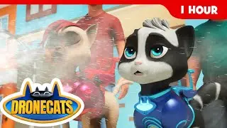 Dr. Fang&rsquo;s Sleep Attack! 😱💤 Drone Cats One Hour Mega Compilation