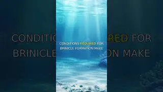 Ocean's Brinicle Ice Formations #Shorts