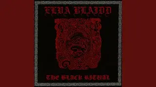 In the Black Sky